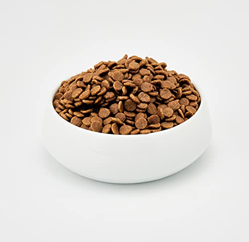 Acana Wild Prairie Cat & Kitten Regionals - 1,8 kg