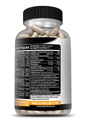 Kaya Naturals - Neuro Brain & Focus Supplement - Nootropic Energy Capsule - Nootropic Brain Support Supplement For Memory - Focus & Concentration & Learning Accuracy - Cognitive Function - 60 Count #TOP6