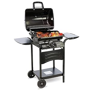 MaxxGarden Gasbarbecue, 2-branders van roestvrij staal, roestvrijstalen grillrooster, balkonbarbecue, campinggrill + BBQ…