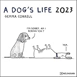 A Dog's Life 2023 - Wand-Kalender - Broschüren-Kalender - 30x30 - 30x60 geöffnet - Hunde - Cartoon (GRID CALENDAR)