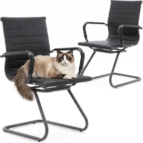 Image of HNY Leather Office Guest & Reception Chairs Set of 2, Modern Waiting Room Chairs with Arms, Desk Chair no Wheels with Sled Base for Waiting Room /Conference Room, Retro Black