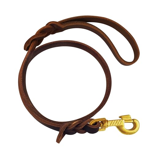 Qianruida Hundeleine Leder Lederleine Hund Klassische Fettlederleine für Kleine Mittelgroße Grosse Hunde - 76cm Qianruida Hundeleine Leder Lederleine Hund Klassische Fettlederleine für Kleine Mittelgroße Grosse Hunde - 76cm