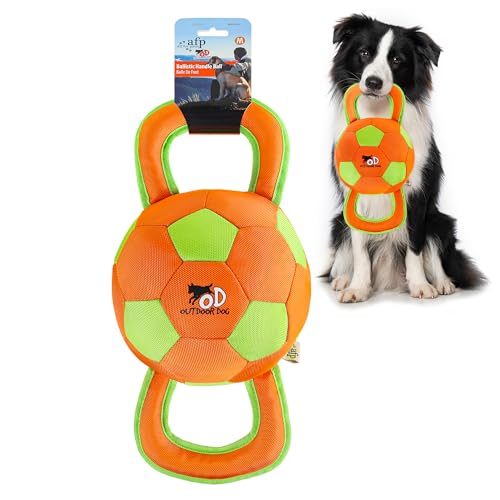 ALL FOR PAWS Handle Ball - Haltbares Hundespielzeug mit Quietscher, Hartes Hundespielzeug für aggressiv beißende Hunde, interaktives Spielzeug, Farbauswahl