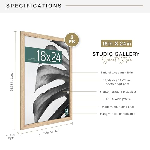 MCS Studio Gallery 18x24 Poster Frame Natural Woodgrain, Vertical & Horizontal Wall Hanging Large Picture Frame for Photos, Posters & Art Prints (2-Pack)