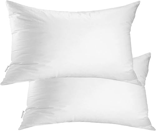 Juego de 2 cojines de 12 x 20 pulgadas, relleno alternativo de plumón de poliéster suave para fundas de almohada decorativas, lavables a máquina, Juego de 2 cojines de 12 x 20 pulgadas, relleno alternativo de plumón de poliéster suave para fundas de almohada decorativas, lavables a máquina,