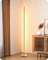 EDISHINE LED Corner Floor Lamp, Minimalist Dimmable Light with Remote, Standing LED 57.5 Inches Tall Lamp for Living Room, Bedroom, Home Office, 7 Color Temperature 2700-6000K (Silver)