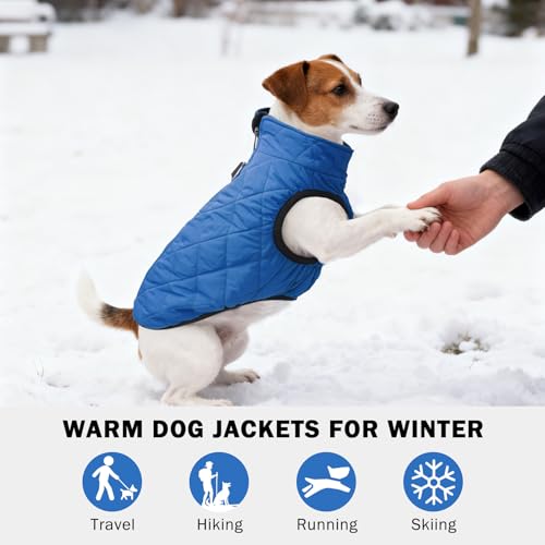 Image of SCENEREAL Winter Dog Vest Coat with Harness Built in for Small Medium Dogs | Cold Weather Coat with Zipper, Fleece Puffer Vest Windproof Snow Clothes, Blue S