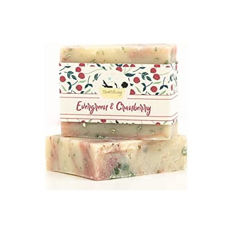 Bath Blessing Evergreen and Cranberry Soap Cover