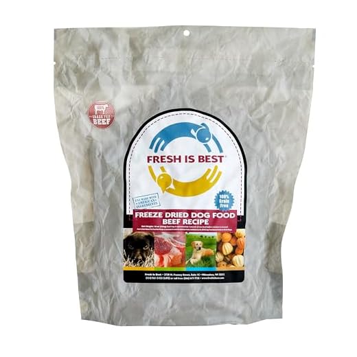 Fresh Is Best Beef Freeze Dried Dog Food – Raw Dog Food Toppers for Puppies & Adult Canines – High-Protein Freeze Dried Beef in Resealable Zipper Bag – Made in the USA – Beef, 8 oz