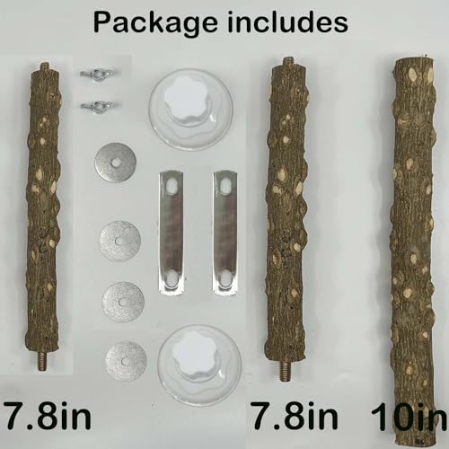 Suporte natural para pássaros com ventosa para espelho de janela, chuveiro de carro, viagem, banho,
