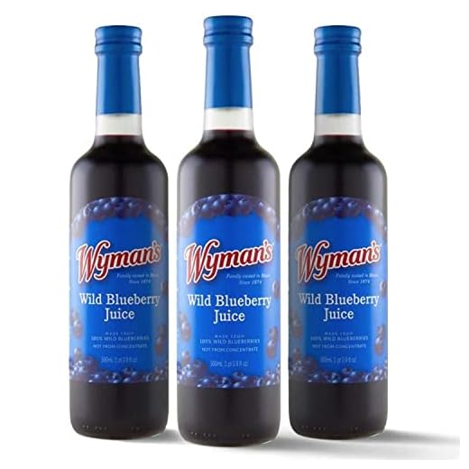 Wyman's Wild Blueberry Juice, 100% Juice, No Sugar Added, Not From Concentrate, Glass Bottled, 500mL (3 Pack)