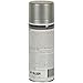 Moeller Engine Spray Paint, (12 Oz.) Honda Oyster Silver Metallic