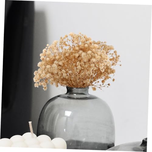 Bouquets de flores secas mini Gypsophila 6 piezas miniatura 5