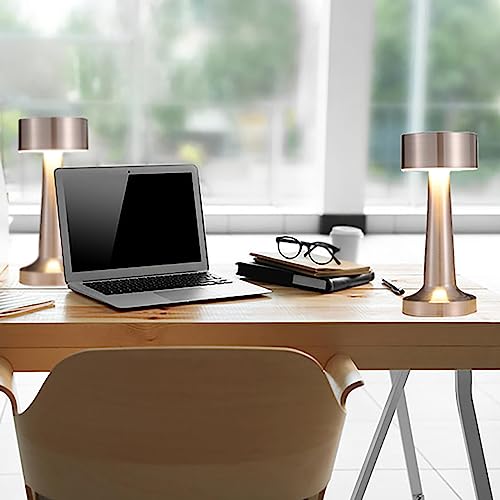 Ejfoiej Portable Led Table Lamp, 3-Levels Brightness Metal Desk Lamp, 3 Color Touch Control Rechargeable Lamp, Night Light, Bedside Lamp,Dining Room Lamp (Silver) #TOP4