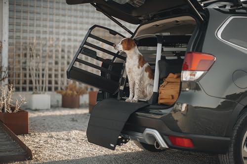 Bolsa de almacenamiento para cajas Thule Allax: organice los viajes con su perro 4