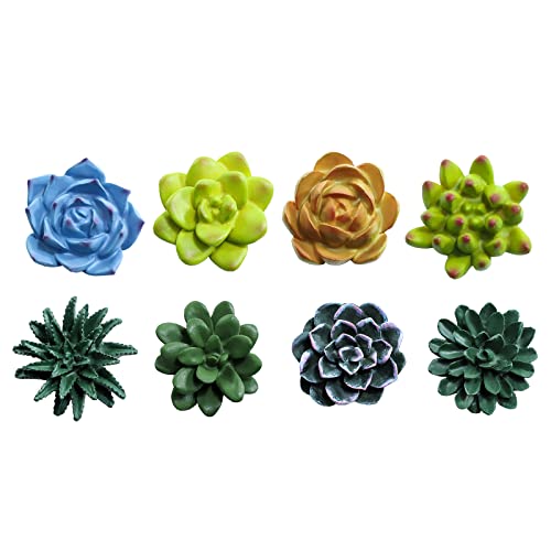 Imanes decorativos de resina con diseño de plantas suculentas, set de 8