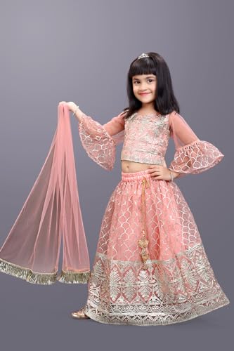 Image of Girl's Princess Lehenga Choli Set - Soft Net, Ribbon Embroidery With Duppata, Readymade