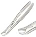 AAPROTOOLS New EXTRACTING Forceps 87 Dental Instruments