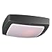 PLC Lighting 2720BZ226GU24 Clarendon-I 2-Light Outdoor Wall Sconce - Bronze