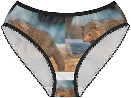Mongoose Panties, Mongoose Underwear, Briefs, Cotton Briefs, Funny Underwear, Panties For Women