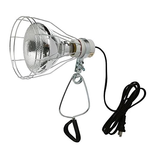 Woods 0324 18/2 Gauge Brooder and 150-Watt Heat Lamp with Wire Grill and Clamp; 6-Foot; Black
