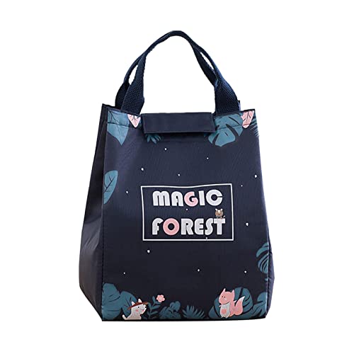 BAOK Fiambrera aislada – Fiambrera grande – Portaalimentos para caja bento para mujer, hombre, adultos, picnic, trabajo, senderismo, playa