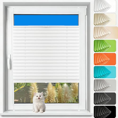 Estores para Ventanas Persiana Enrollbale 75 x 200 cm Fijación sin Taladrar Translúcido Estor Enrollable de Doble Capa Noche y Día Estores para Ventanas para, Blanco