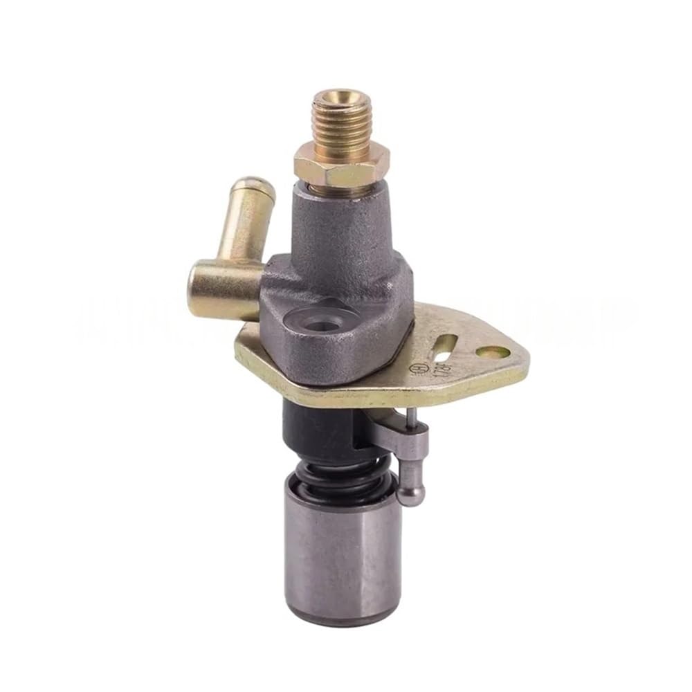 Car Petrol Injector Fuel Injection Pump for Yanmar for L48 for L70 Chinese for 173F for 170F for 178F for 186F for 188F for 192F for 195F