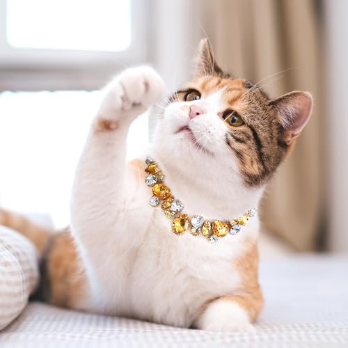 Image of HOWWFALY Dog Collar and Cat Collar Gold Chain Necklace Stainless Steel Adjustable Yellow Diamonds Collar with Cute Pet Paw for Small Medium Pets Cats Dogs Kitten Puppy