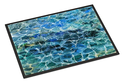 Caroline's Treasures BB5360JMAT EEL Under Water Doormat 24x36 Front Door Mat Indoor Outdoor Rugs for Entryway, Non Slip Washable Low Pile, 24H X 36W