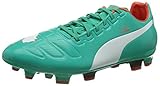 PUMA Herren EvoPower 3 FG Fußballschuhe, Green-White-Grenadine-turb, 44