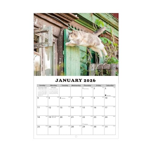 Calendario de pared de gato 2026 de 13 meses para planificar el estudio y el hogar