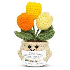 Sunny Bloom - Thank You Gift