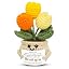 Sunny Bloom - Thank You Gift