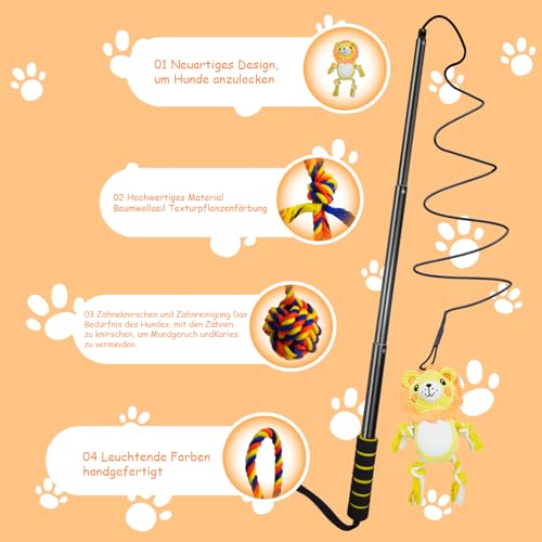 Aitmexcn Reizangel Hund, Eizangel Hunde Martin Rütter, Ausziehbar Robuste Flirt Pole für Kleine & Große Hunde und Katzen - Robuste & Leichte