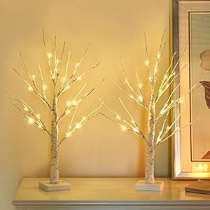 Vanthylit Valentines Day Decor, Pre-lit White Birch Tree Lights Set of 2, Tabletop Tree 24 LED Warm White Lights Battery…