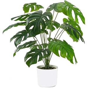 Laelfe Monstera Kunstpflanze im Topf, Künstliche Blattpflanze Splitphilo Pflanzen Plastik Tropische Palme Grünpflanze Deko für Haus Wohnzimmer Schlafzimmer Büro Tischdekorationen (Monstera-60cm)