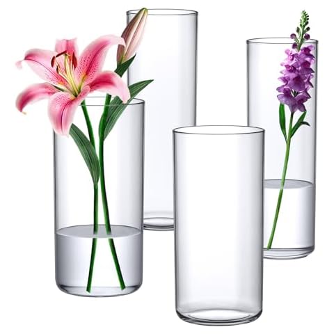 Amazing Abby Acrylic Cylinder Vases Cover