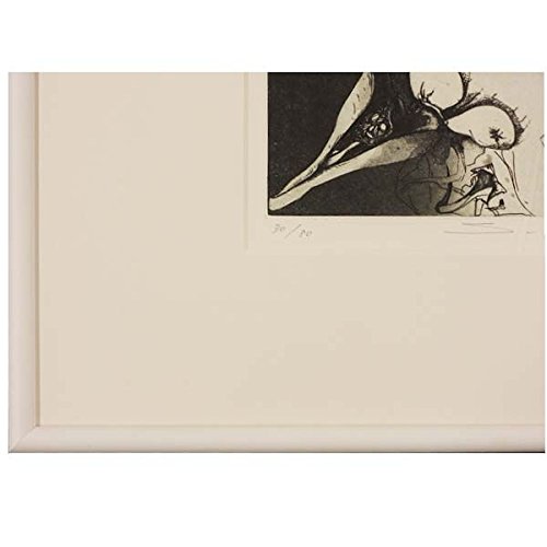 Amazon.co.jp: 安藤真司『森の果実』銅版画(エッチング) ・静物画
