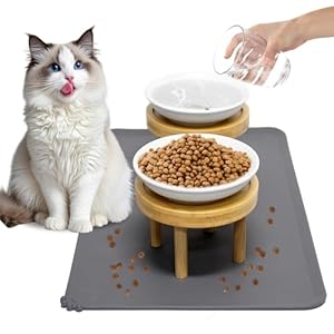 Upgraded Elevated Cat Bowls with Food Mat, Raised Ceramic Cat Dishes with Bamboo Stand, Shallow Wide Pet Feeding Bowls Whisker-Friendly for Food and Water