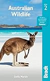 Australian Wildlife (Bradt Travel Guide)