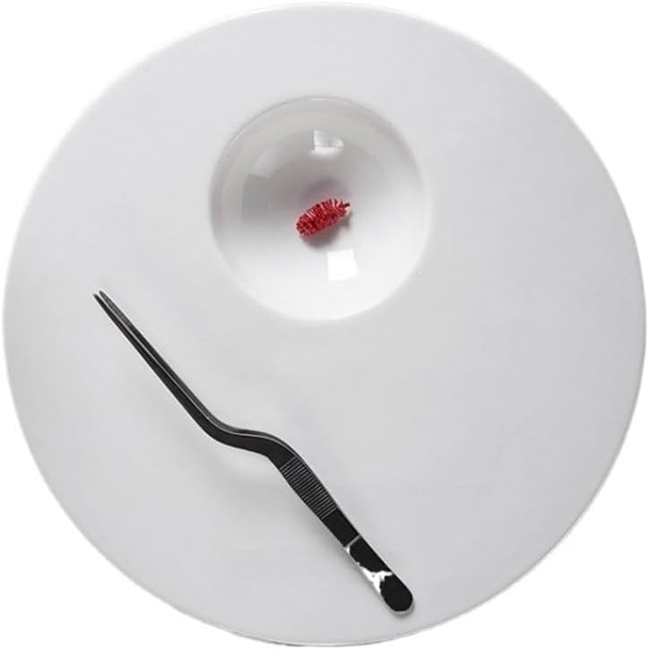Dinner Plates Ceramic Round Plate for Molecular Gourmet, Fruit Salad, Western Restaurant