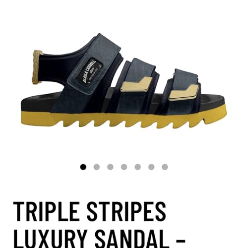 Aligning with Elohim's Plan for Your Life