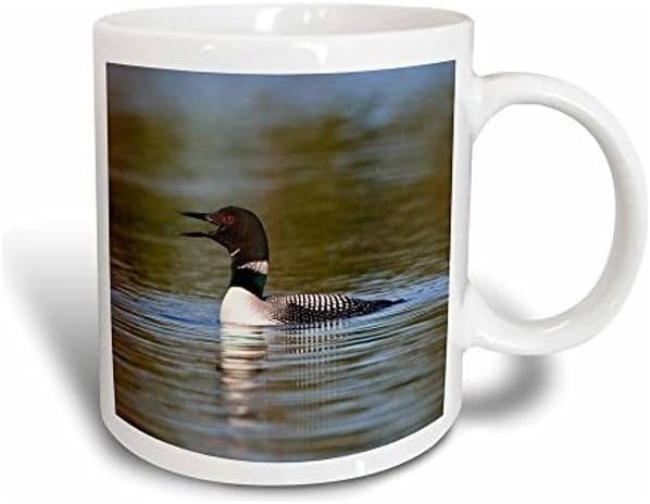 RYN Larry Ditto Magic Transforming Mug Multicolor 11Ounce - RYNmg14628