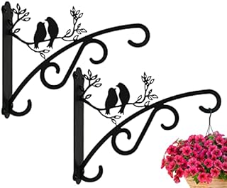Heavy Duty Hanging Basket Brackets Outdoor Indoor Support Up to 30 lbs, 10 Inch Large Plant Brackets with Wall Mounted Solid Steel Hooks for Lantern/Light/Bird Feeder, 2 Pcs Garden Hangers Black