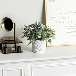 MyGift Artificial Eucalyptus Boxwood Plant in Modern White Concrete Pot with Geometric Embossed Pattern, Faux Greenery Potted in Decorative Round Planter MyGift Artificial Eucalyptus Boxwood Plant in Modern White Concrete Pot with Geometric Embossed Pattern Faux Greenery Potted in Decorative Round Planter