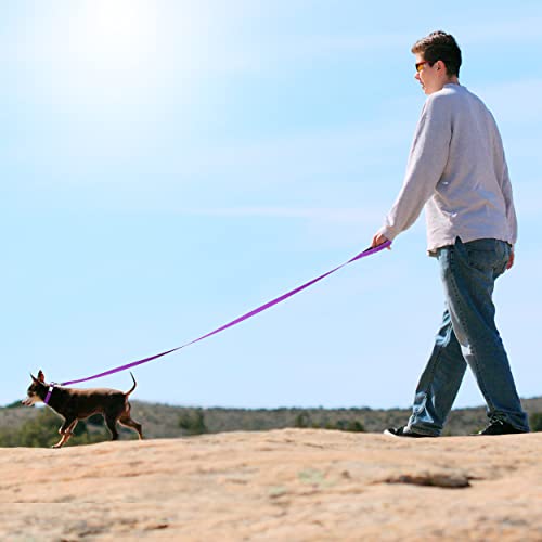 Tagme 5Ft Double-Sided Reflective Dog Leash, Soft Padded Handle Nylon Dogs Leashes For Walking And Training For Small & Puppy Dogs, Purple #TOP5