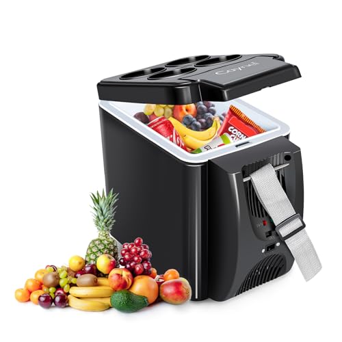 CAYNEL Termoelétrico pessoal de 12 V, 6 litros, capacidade de 6 litros, aquecedor elétrico portátil com 12 V CC, geladeira pequena para uso em carros, trailers e acampamentos