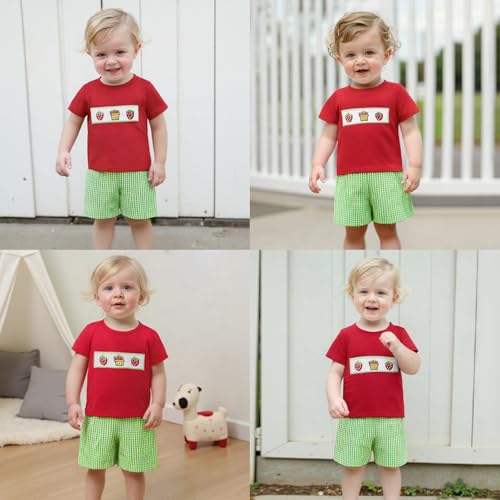Image of Bonangber Toddler Baby Boy Summer Clothes Fruits Embroidery Short Sleeve T Shirt Plaid Shorts Sets Cute Boys Summer Outfits