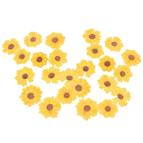 Flores prensadas secas para manualidades OSALADI 24 piezas